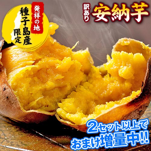 干し芋 5kg」の人気商品一覧 | 安い商品を通販サイトから探す