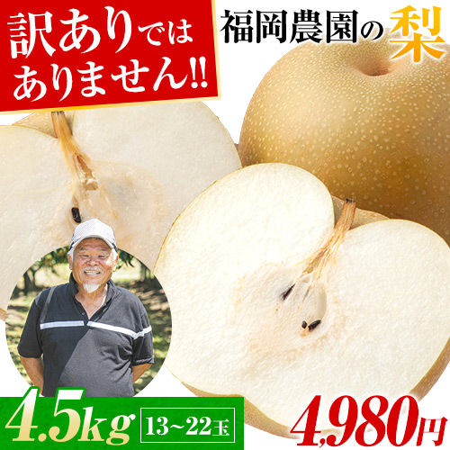 梨 新高梨 10玉 22 新高梨 梨 10玉 1玉約400～500g