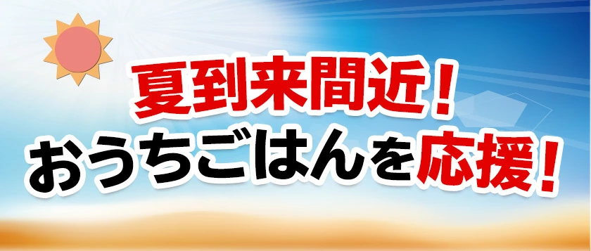国産 五縁のあご入だし 2袋 送料無料 480g(8g×60包) だし 出汁 あご