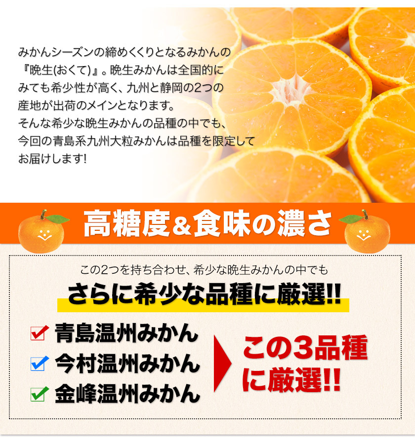 最安値に挑戦 みかん 10kg 訳あり 送料無料 2セットで555円OFF 大粒 大玉 訳ありみかん フルーツ 柑橘 温州 九州産  2月上旬-2月末頃より発送予定