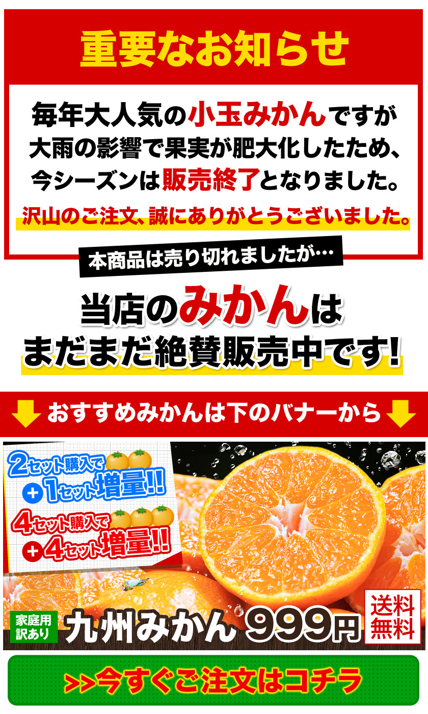 小玉 みかん 訳あり 1kg 送料無料 最大3kgおまけ増量 ミカン フルーツ