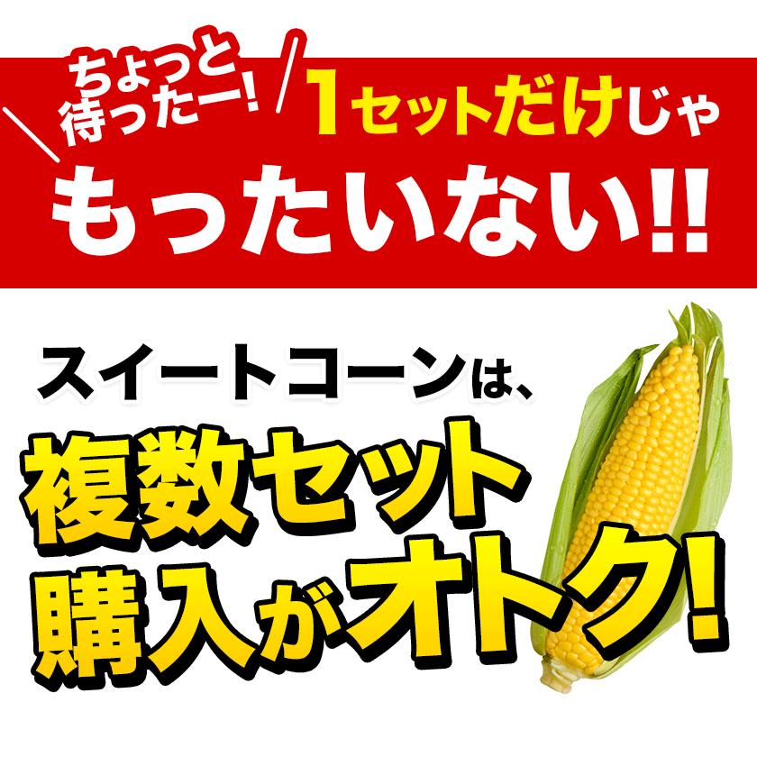 【複数購入でおまけ×クーポン値引き】 とうもろ...の詳細画像5