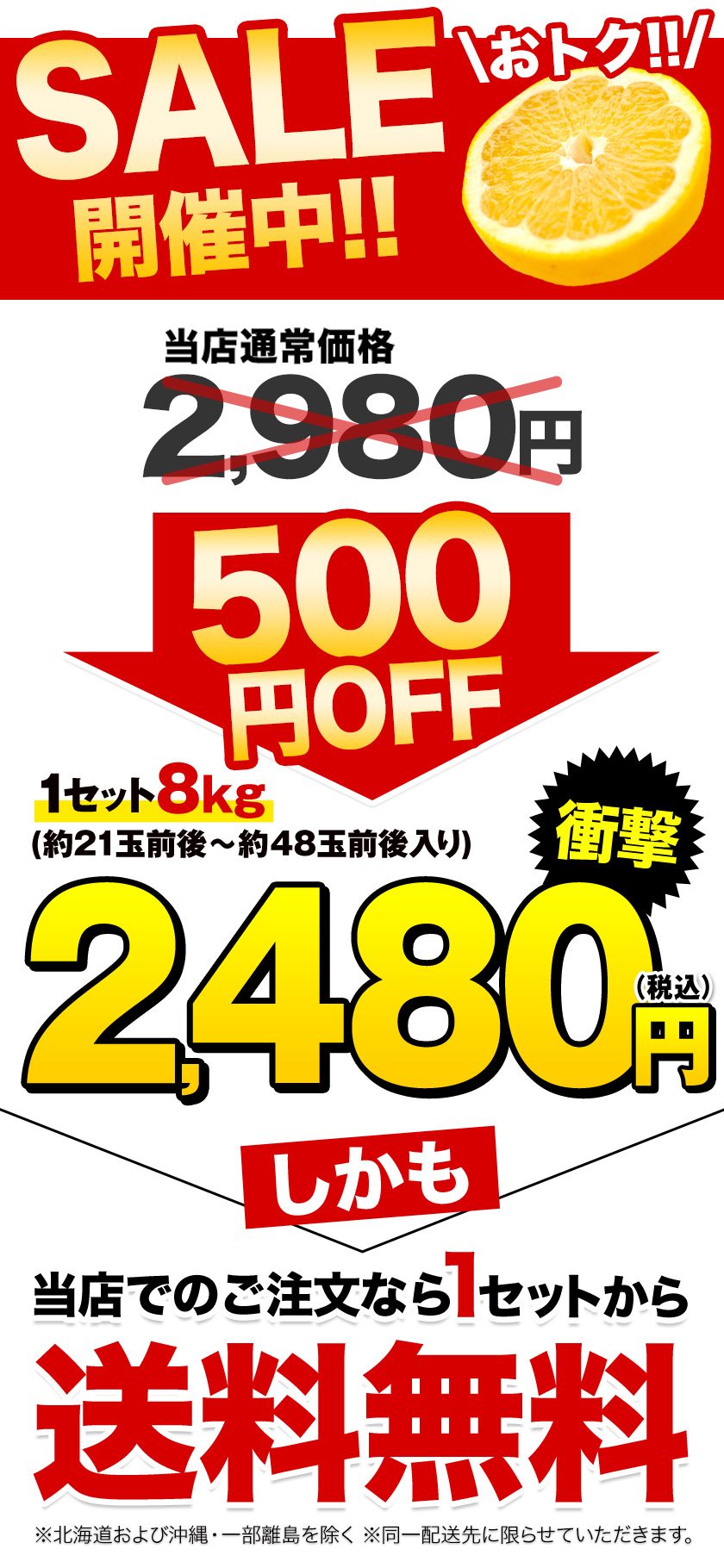 特別セール 訳あり 河内晩柑 8kg 九州産 送料無料 和製