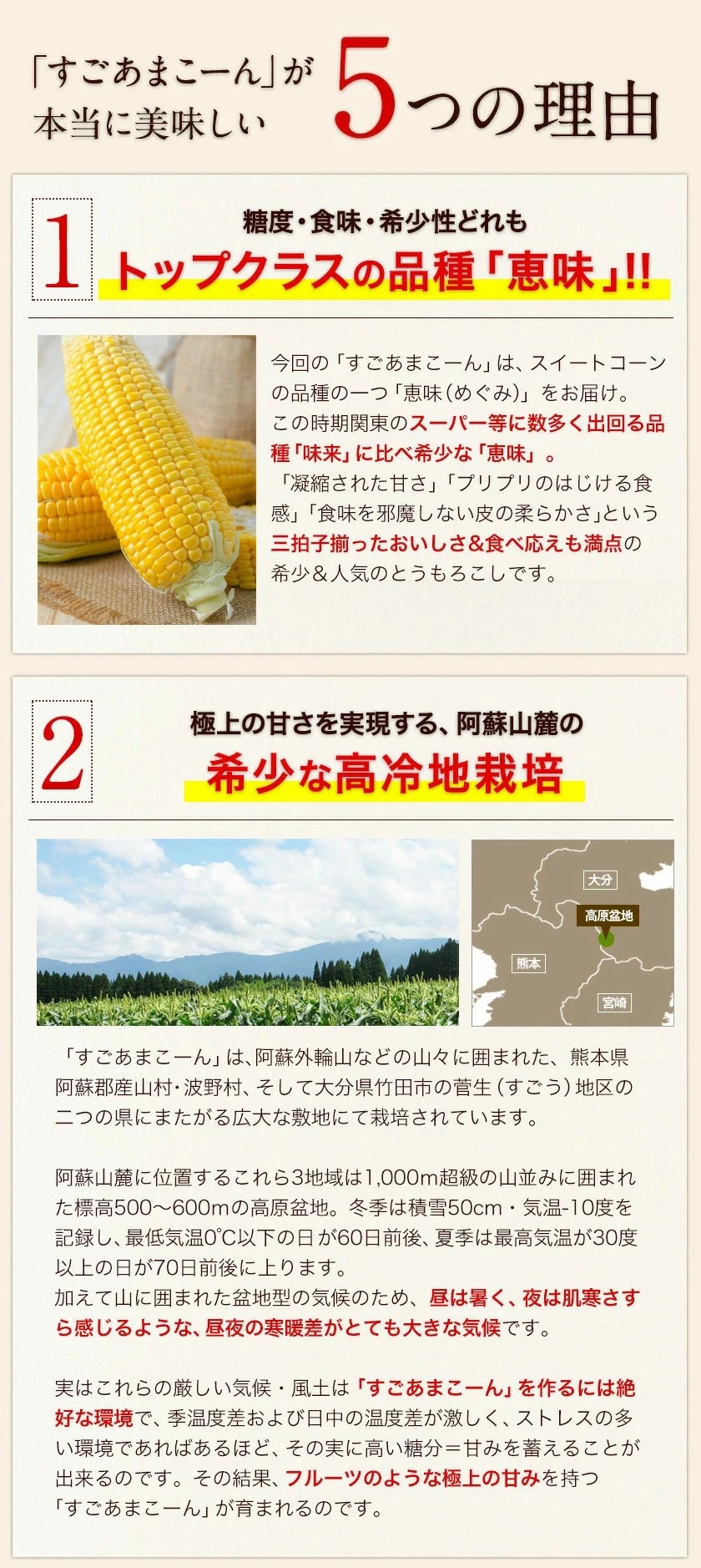 【複数購入でおまけ×クーポン値引き】 とうもろ...の詳細画像3