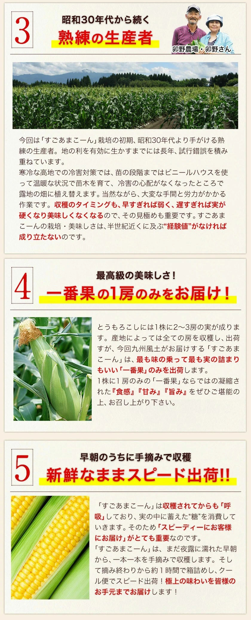 【複数購入でおまけ×クーポン値引き】 とうもろ...の詳細画像4
