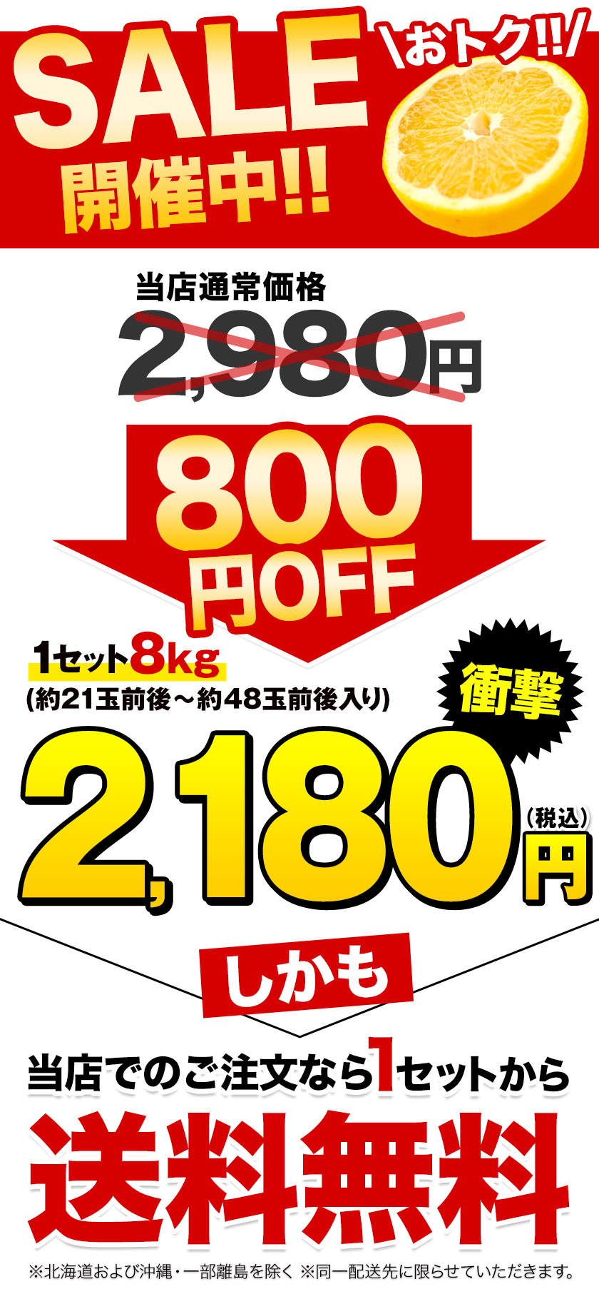 セールで800円OFF 訳あり 河内晩柑 8kg 九州産 和製 グレープフルーツ