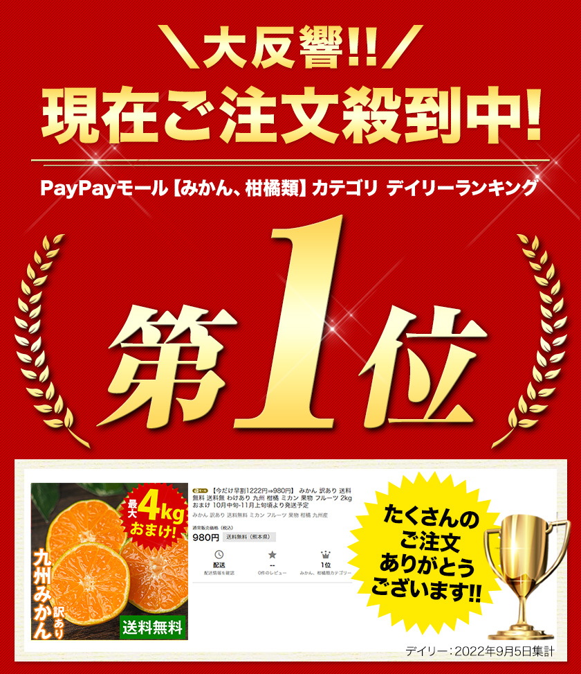 みかん 訳あり 送料無料 2セット購入で1セットおまけ 1セット1.5kg入