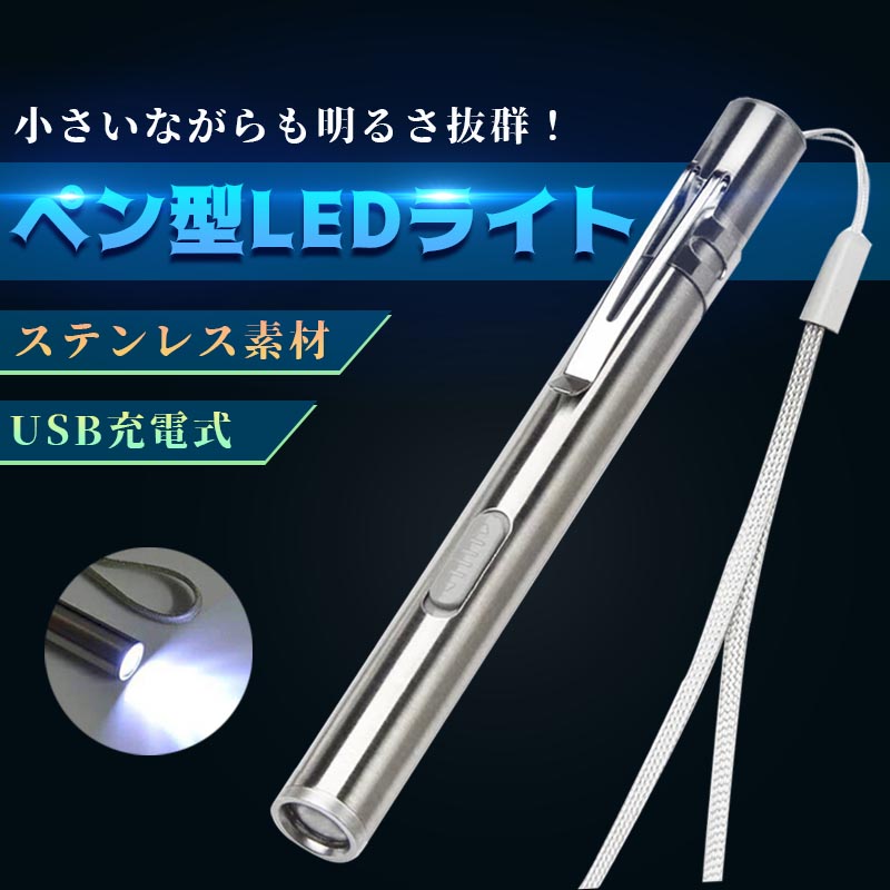 極眩 小型 ペン型 LED ライト コンパクト ステンレス 明るい USB