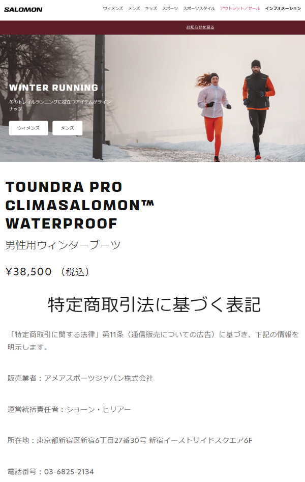 SALOMON サロモン スノーブーツ スノーシューズ メンズ TOUNDRA