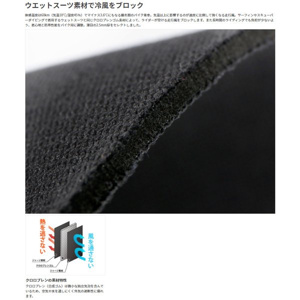 ドッペルギャンガー（DOPPELGANGER） DGL619-BK ライダーズ オーバー