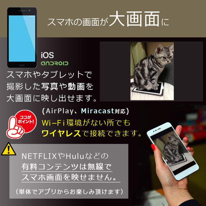 RAMASU ZIP キテルネ プロジェクター RA-P150 mitemi スマート
