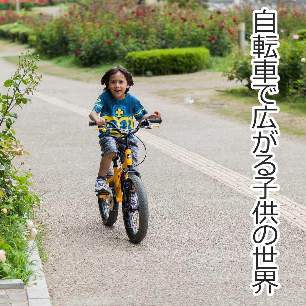 子供用自転車 【RB-WE BULLDOZER 16インチ】 子供用自転車 【RB-WE BULLDOZER 16インチ】