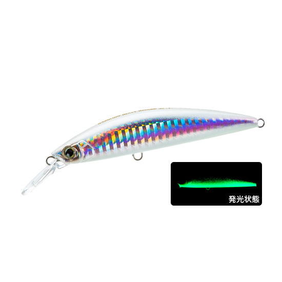 DUEL（デュエル） ハードコア ヘビーミノー 90S 29g シンキング F1189