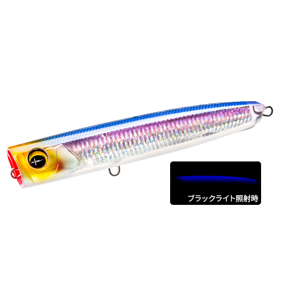 ソニック　ストーム ソニックチャンネル/キャラクター/ストーム