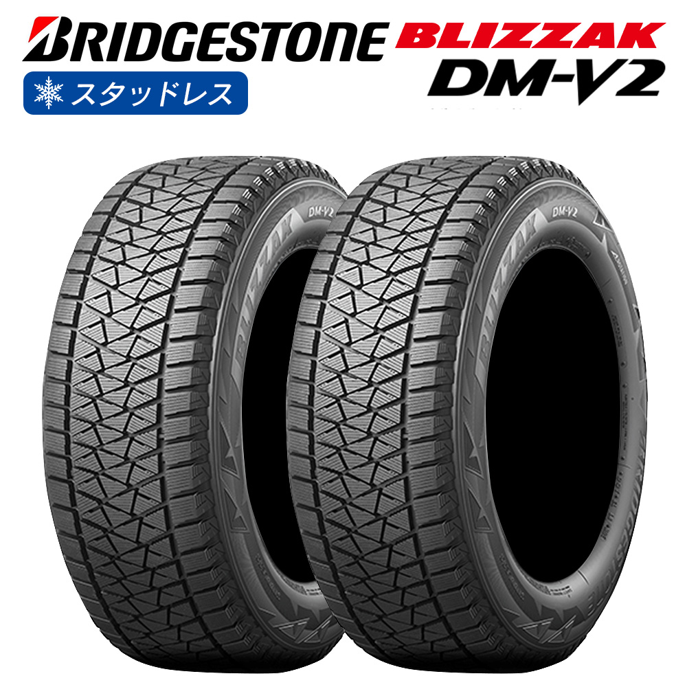 BRIDGESTONE ブリヂストン BLIZZAK DM-V2 265/55R19 SUV 4×4車用 スタッドレス 冬 タイヤ 2本セット  法人様専用