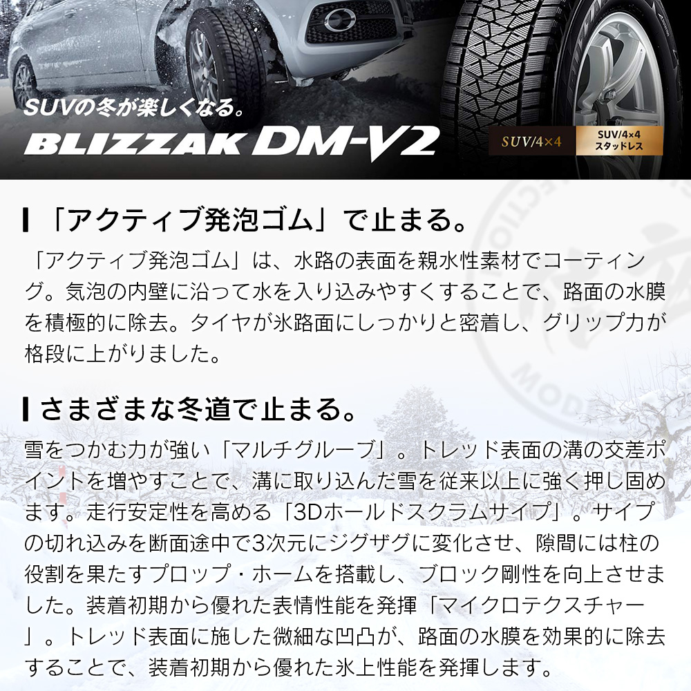 BRIDGESTONE ブリヂストン BLIZZAK DM-V2 265/55R19 SUV 4×4車用 スタッドレス 冬 タイヤ 2本セット  法人様専用