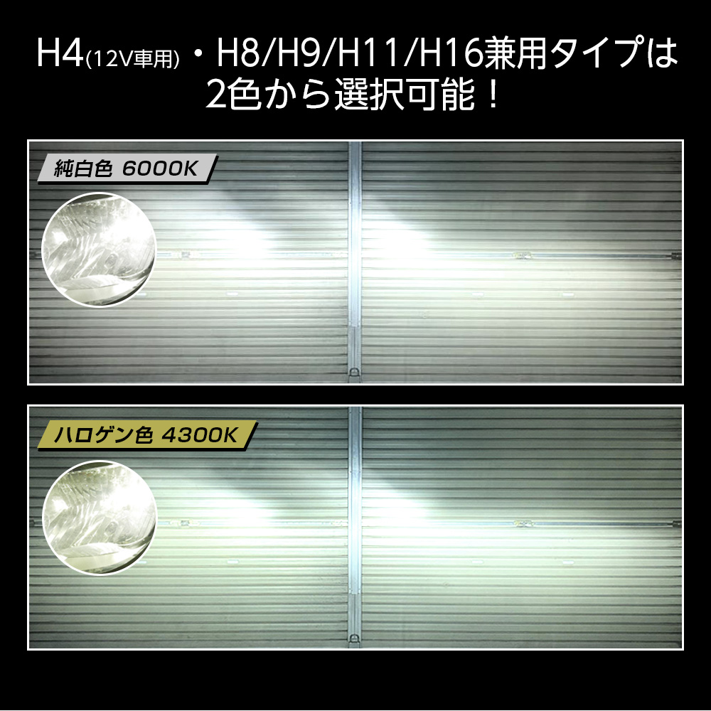 車用 新品 信玄 KIWAMI  白  LEDライト 信玄 限定20%OFFcp LED ヘッドライト フォグ キワミ H1 H3 H4 H7 H8 H9