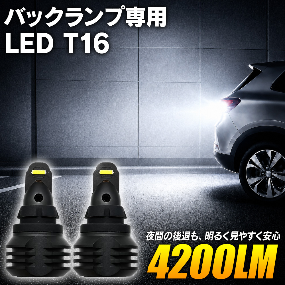 信玄 限定5%OFFcp LED T16 バックランプ専用 超激光 限界ギリギリの 