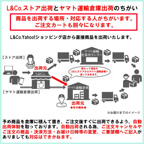 ネックレス レディース エクレアチェーン K10 10金 シンプル 華奢