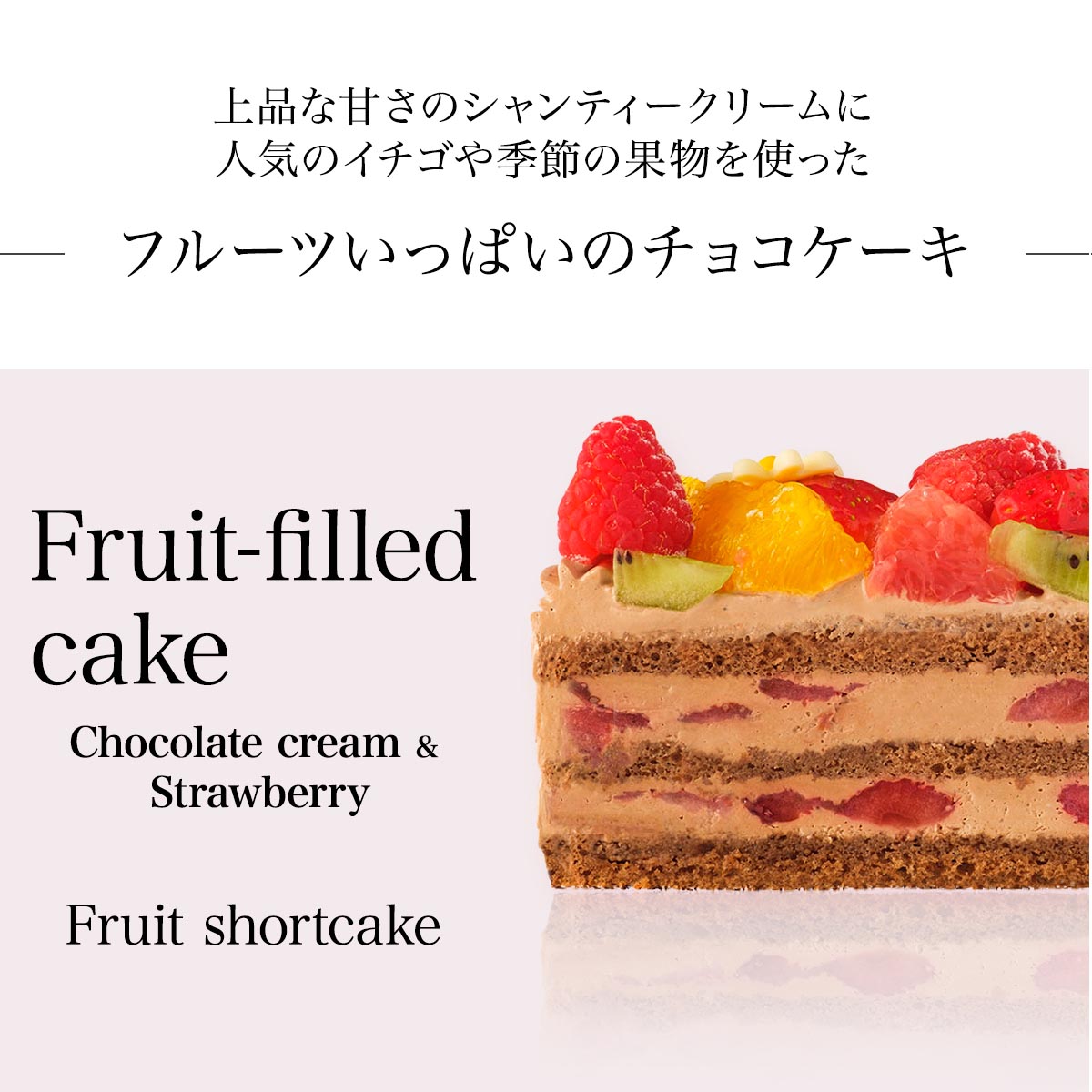 誕生日 チョコレートケーキ 6号 フルーツいっぱいチョコケーキ 直径