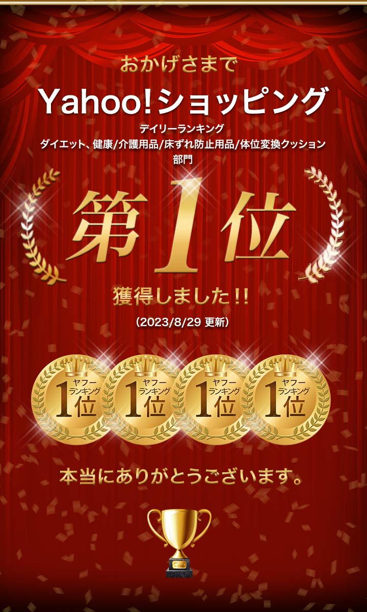 ヤフー1位 クッション 介護 介護用 三角クッション 2個セット 床ずれ