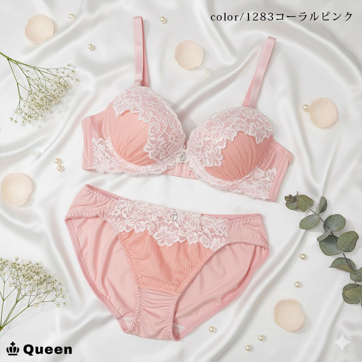 大きいサイズ ブラジャー ショーツセット レディース 下着 D85 D90 D95