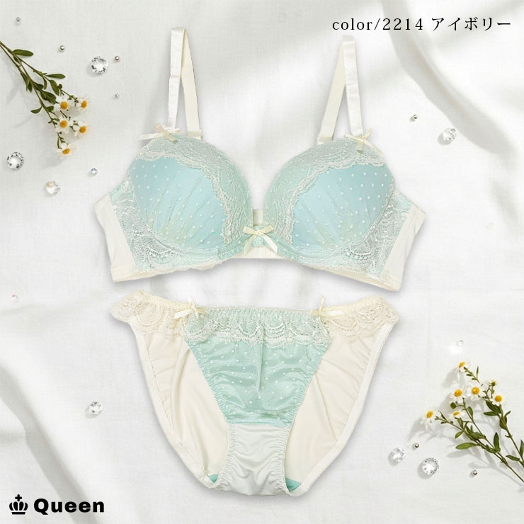 ブラジャー 大きいサイズ レディース ショーツセット ブラショーツセット 脇高ブラ 下着 Eカップ E80 E85 E90 E95 E100 レースブラ ランジェリー 刺繍 |  | 14