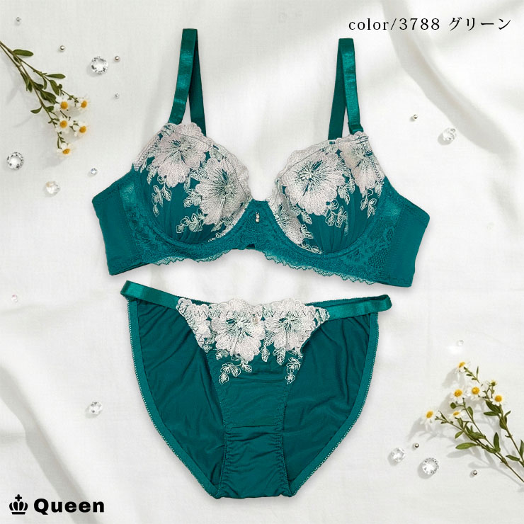 ブラショーツセット 大きいサイズ まとめ買い 下着 レディース セット