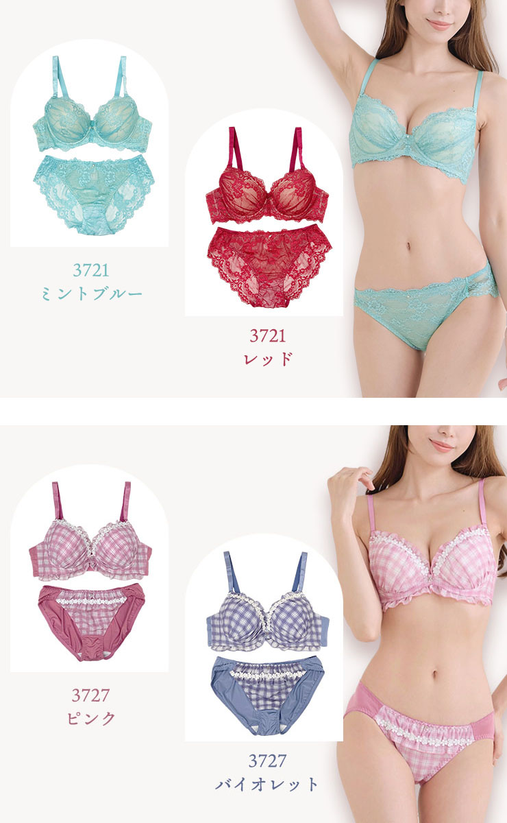 CHARLE REMUS 下着セット Lサイズ 大きいサイズ ブラショーツセット レース モールドカップ 下着セット