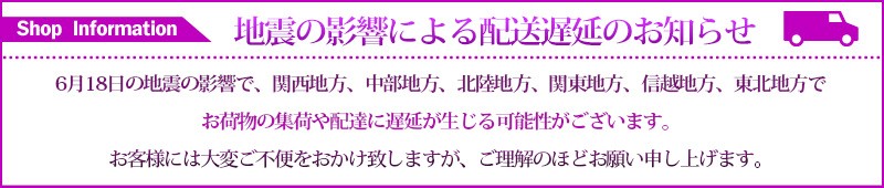 地震による遅延発生の案内