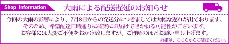 遅延案内