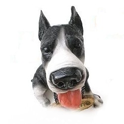 ウェルカムドッグ・WELCOME DOG♪愛嬌たっぷり！可愛いワンちゃんがお 