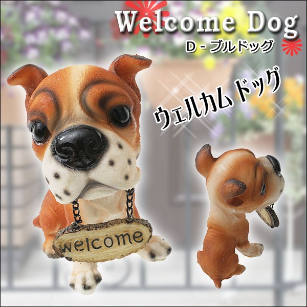 ウェルカムドッグ・WELCOME DOG♪愛嬌たっぷり！可愛いワンちゃんがお