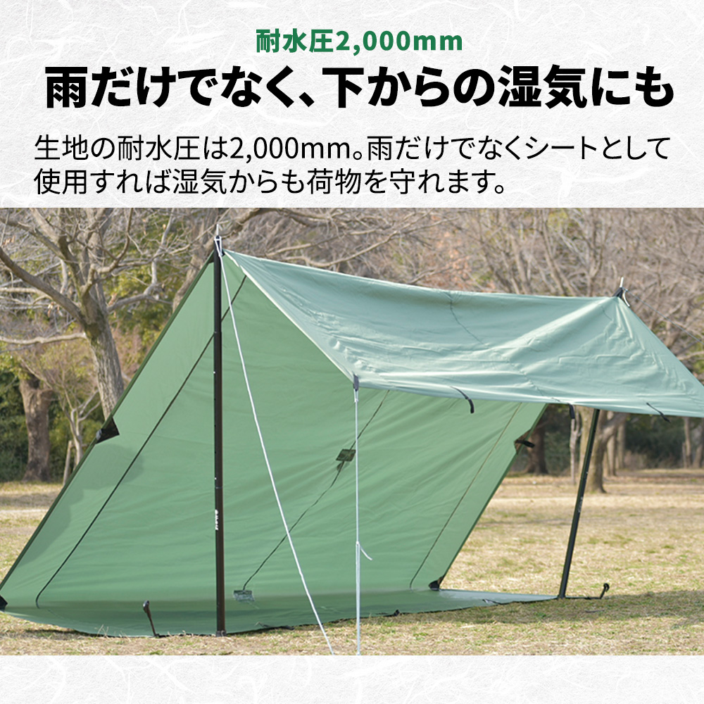 tarp_03.jpg