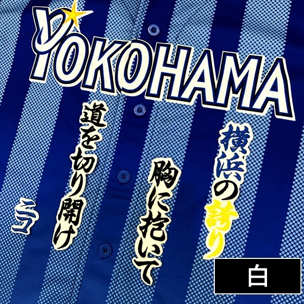 メール便送料無料】納期注意【横浜DeNAベイスターズ 刺繍
