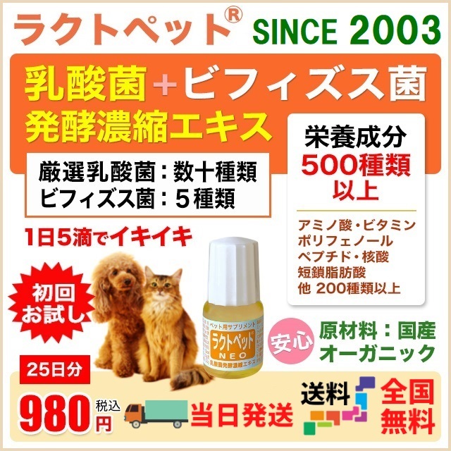 市場 2個セット ペット愛犬用 トーラス