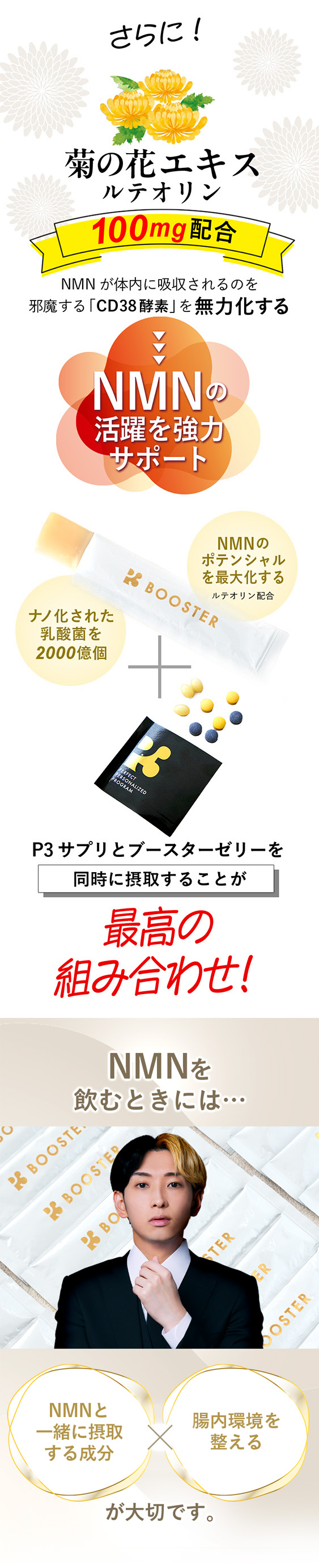 NMNの吸収をサポート