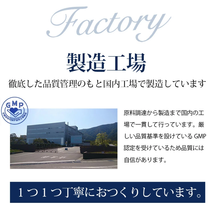 難消化性デキストリン 個包装 粉末 さらば糖脂塩1箱 30包入 糖質制限