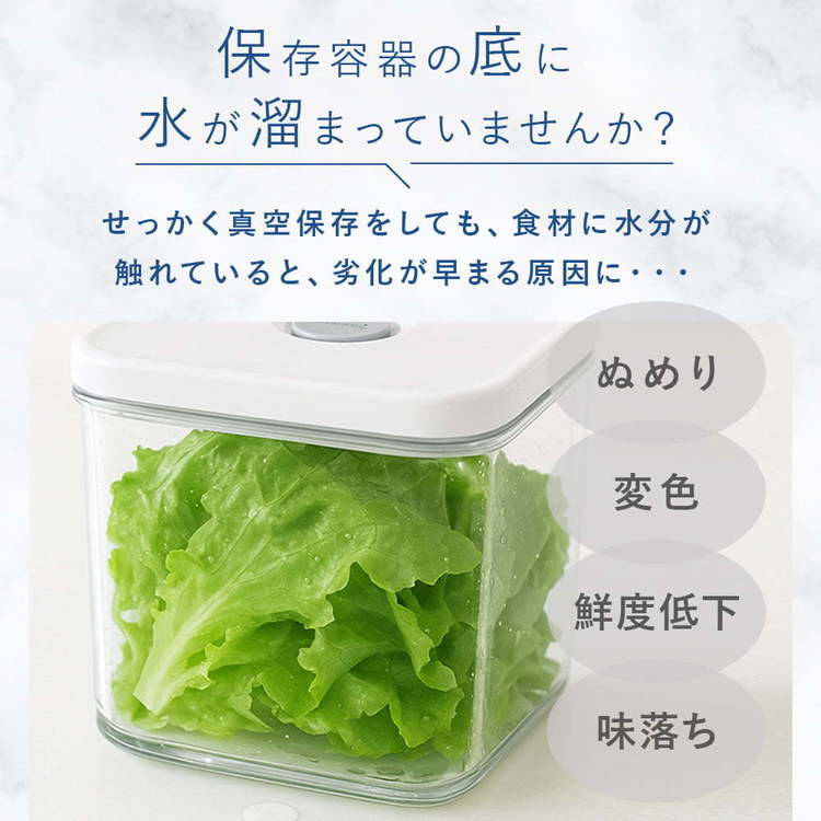 真空保存容器 BPAフリー 密閉 自動 電動真空 食洗機対応 冷凍庫対応