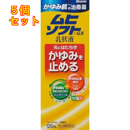 かゆい　商品ページ2、1と同時購入 第3類医薬品】かゆみ肌の治療薬 ムヒソフトGX乳状液 120ml【セルフ