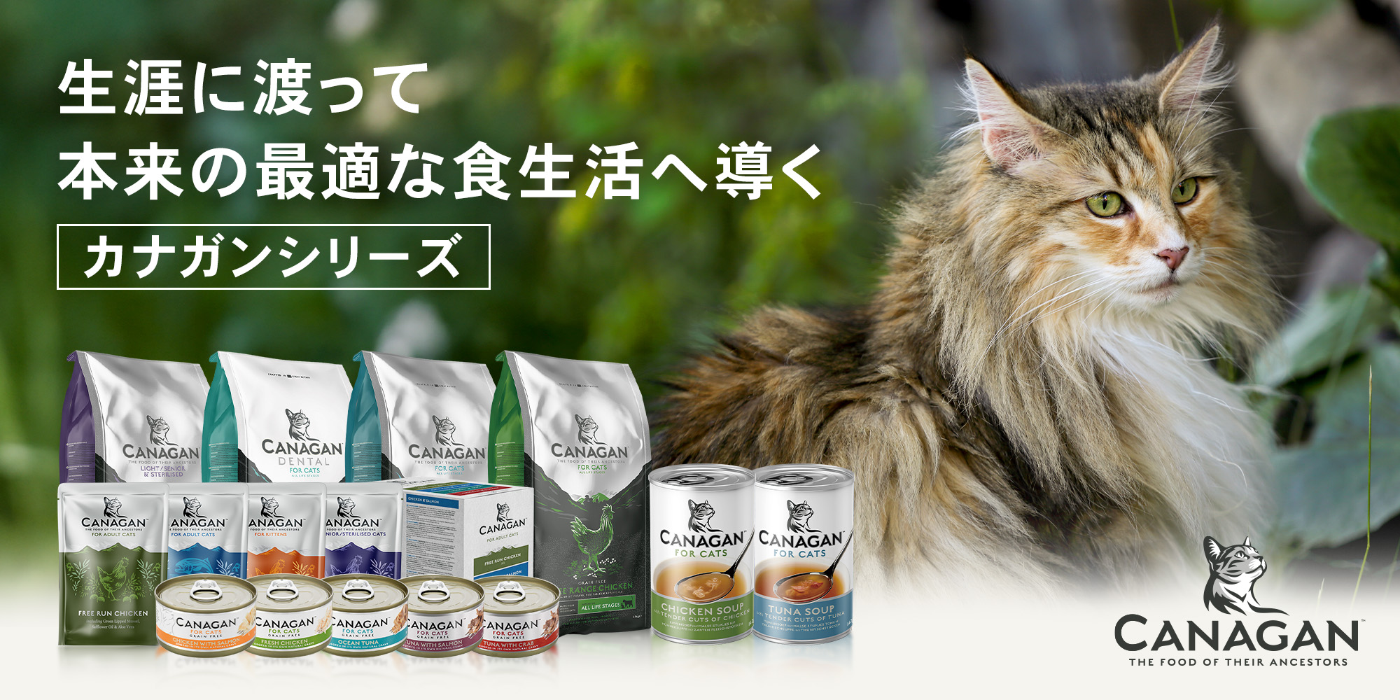 レティシアン Yahoo!ショッピング店 - Yahoo!ショッピング