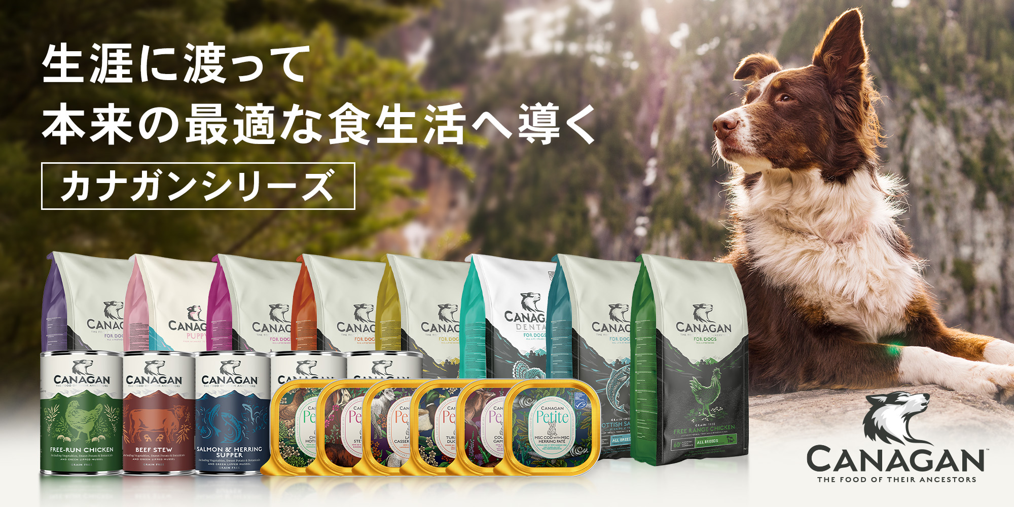 レティシアン Yahoo!ショッピング店 - Yahoo!ショッピング