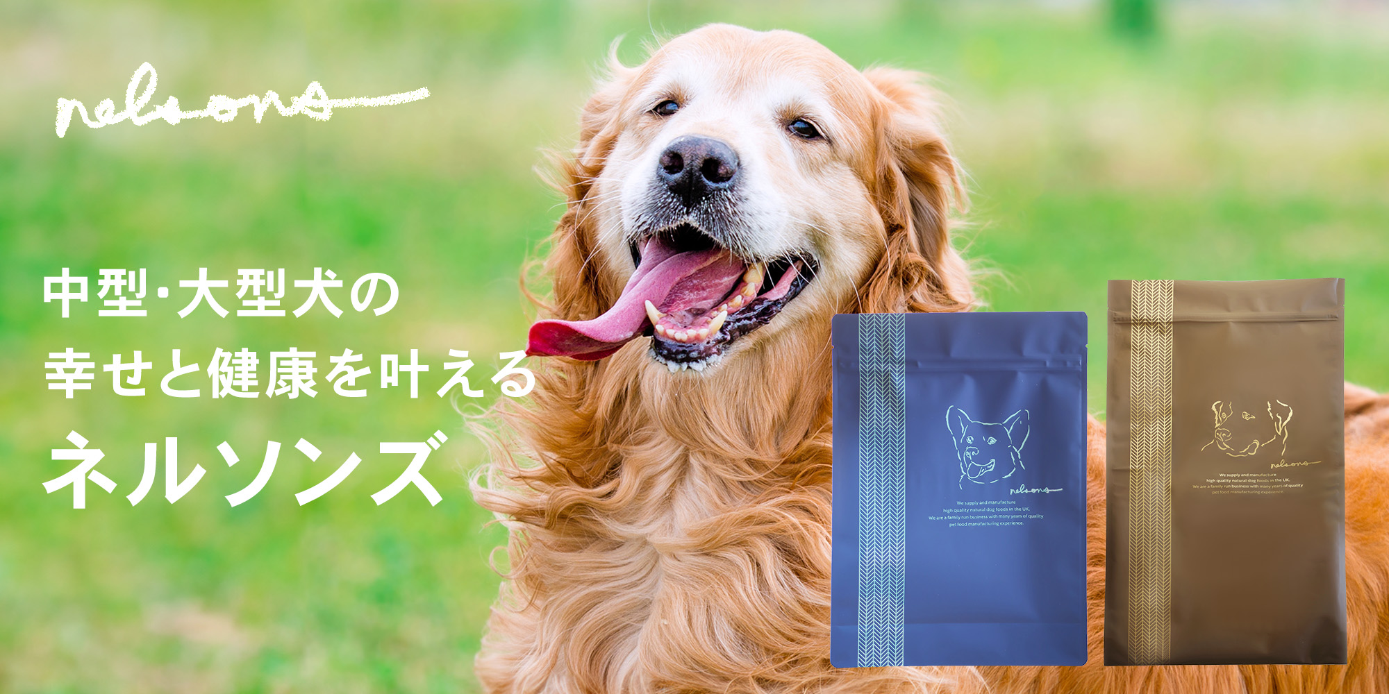レティシアン Yahoo!ショッピング店 - Yahoo!ショッピング