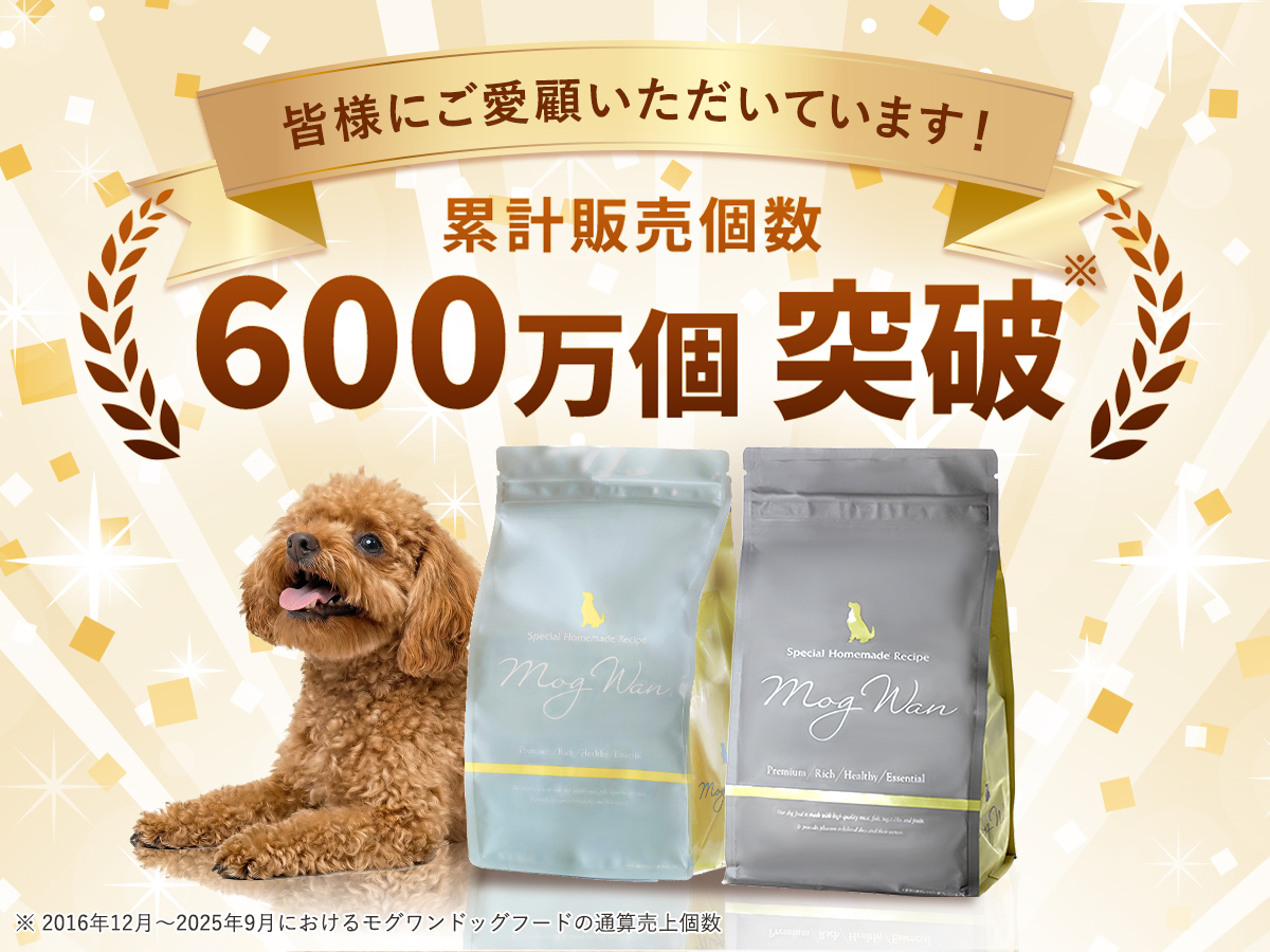レティシアン Yahoo!ショッピング店 - Yahoo!ショッピング