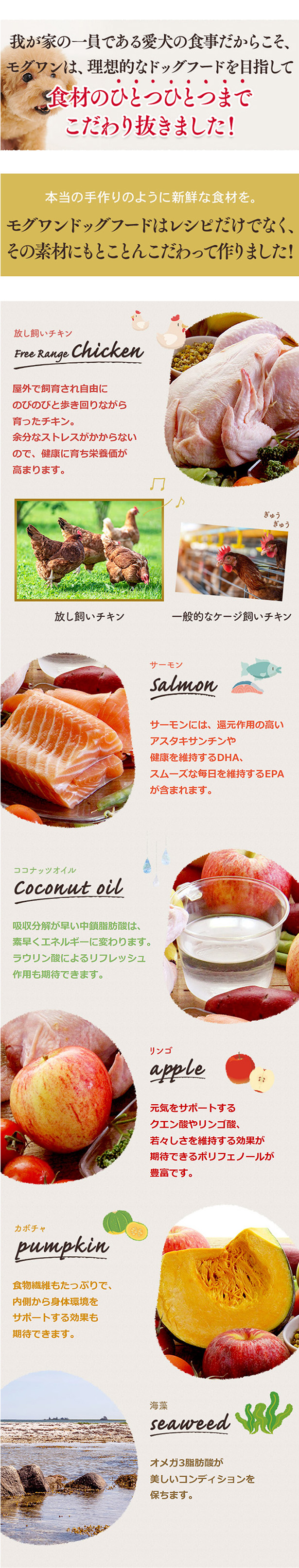 Mog Wan（モグワン） 公式 ドッグフード チキン＆サーモン （1.8kg
