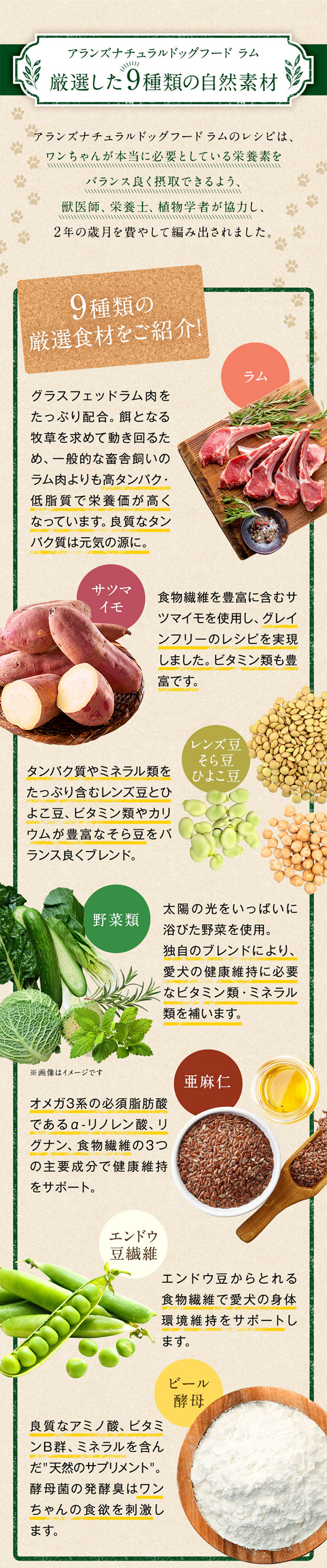 NATURAL DOG FOOD COMPANY 公式 アランズ ナチュラルドッグフード ラム