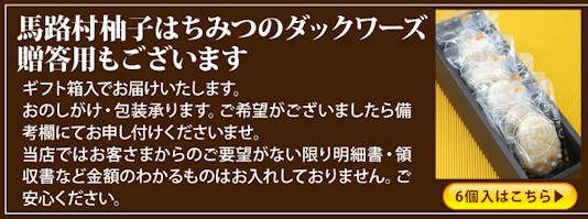6個箱入りはコチラ