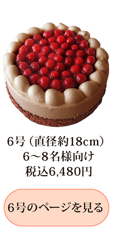 6号見る