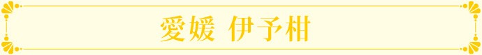 愛媛・伊予柑
