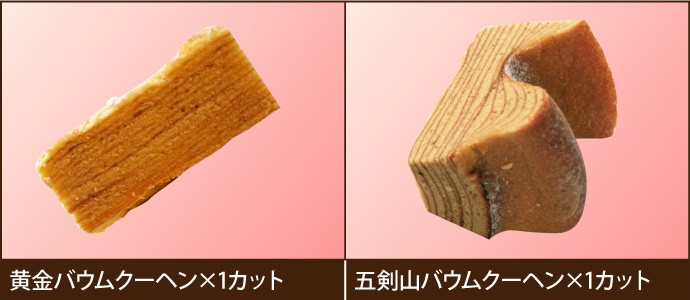 お試しセット